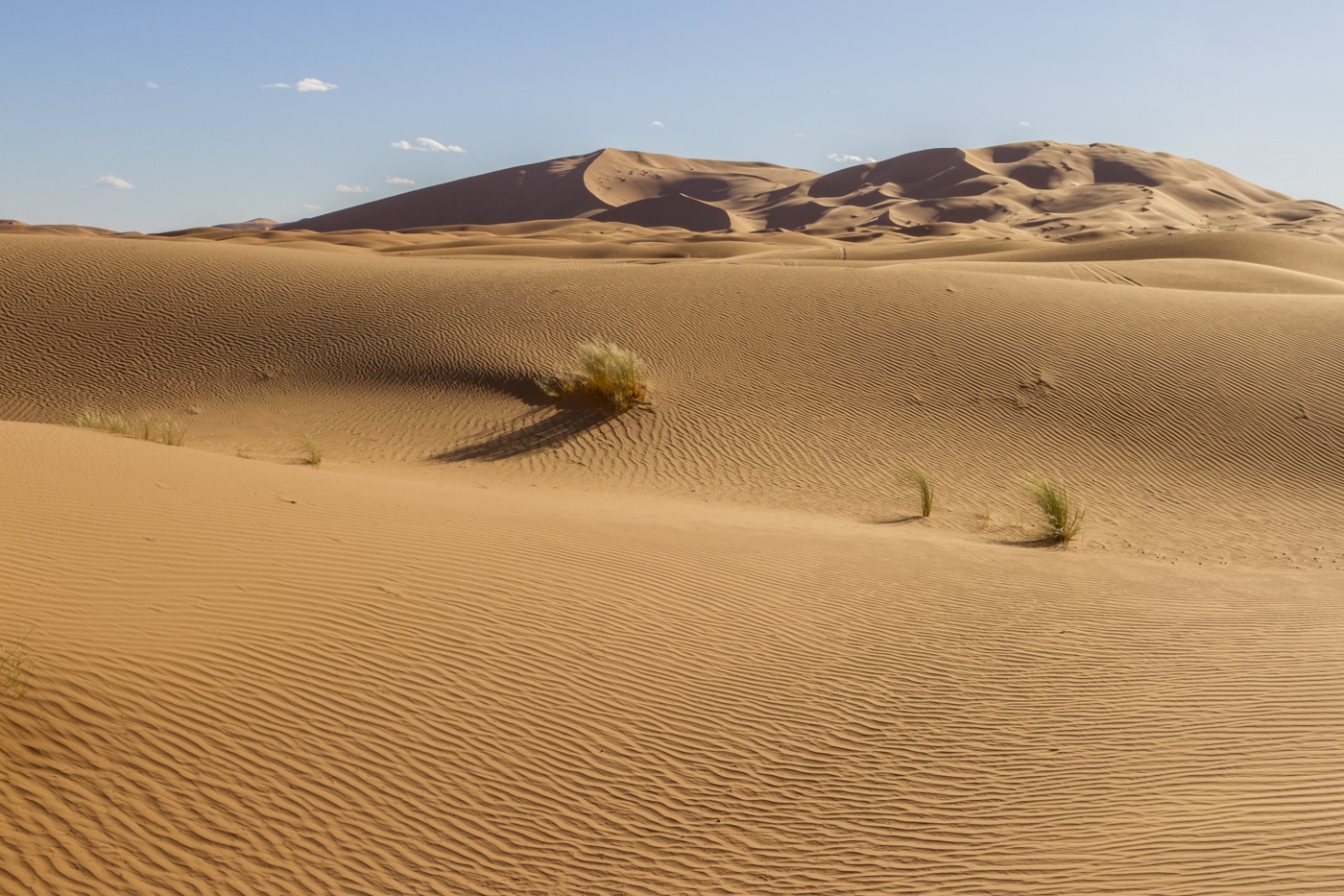 Enjoying Morocco / Private Desert Trip